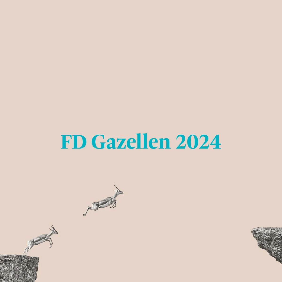 Lumeco FD Gazellen 2024