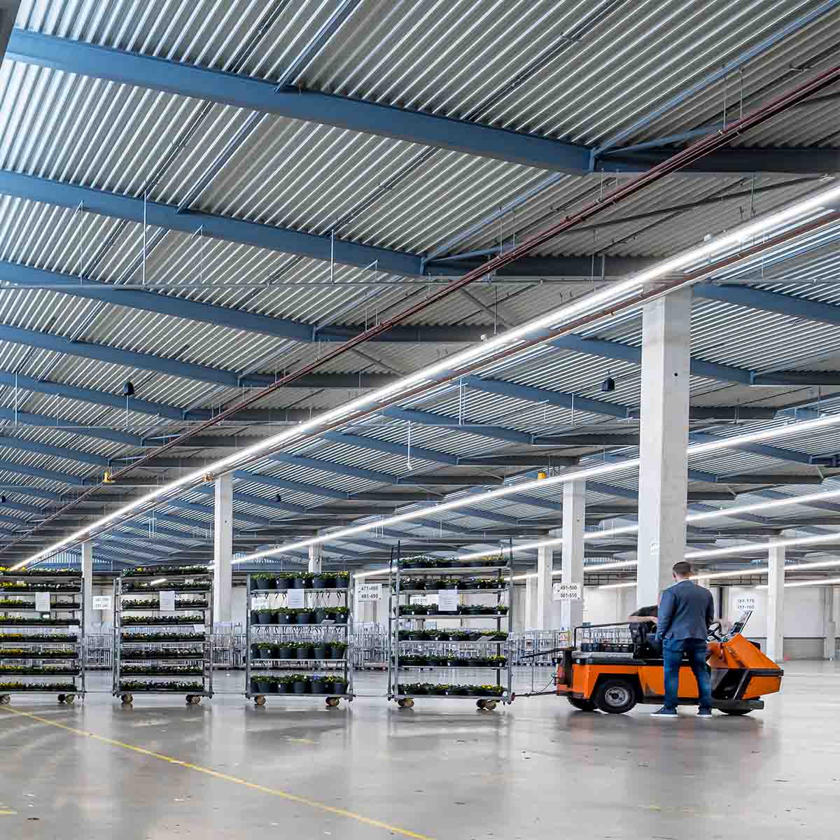 Verlichting veilige loods