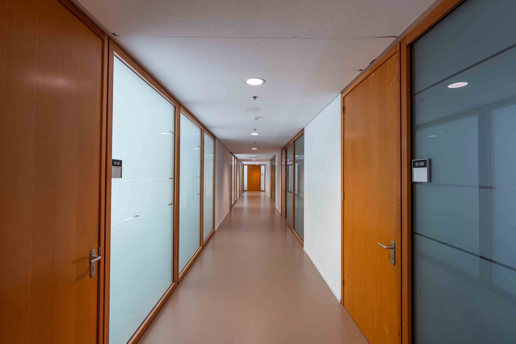 Universiteit verlichting