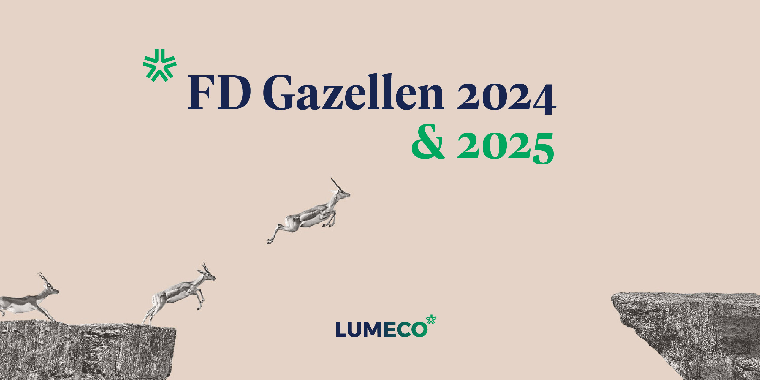 Lumeco FD Gazelle 2025
