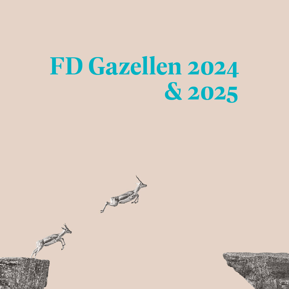 Lumeco FD Gazellen 2024 & 2025