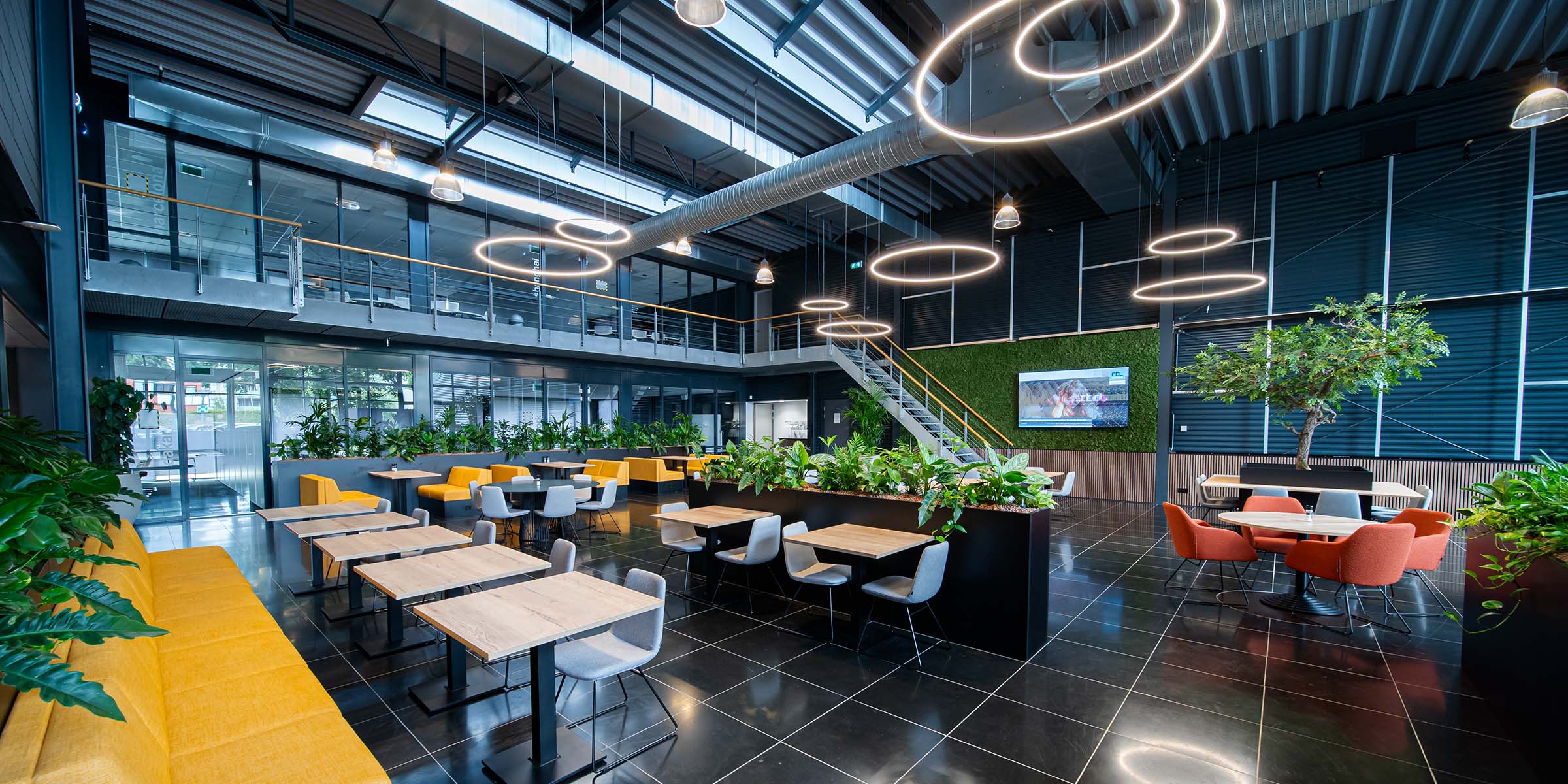 Lumeco verlichting Evofenedex