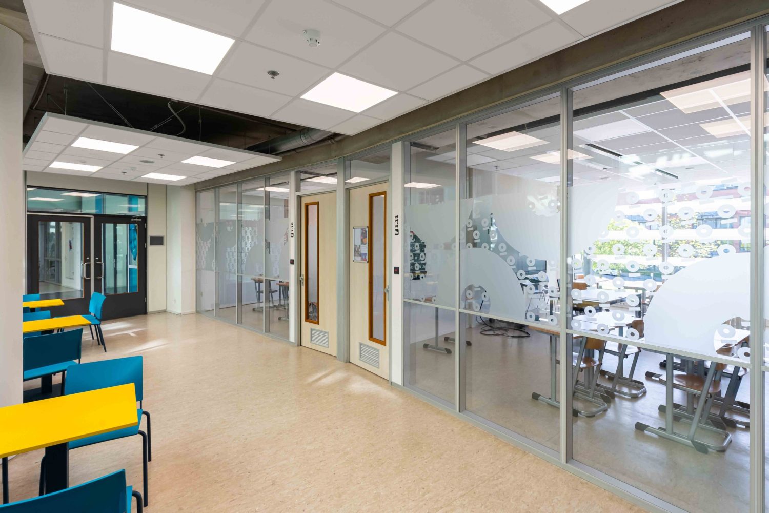 LED in MBO