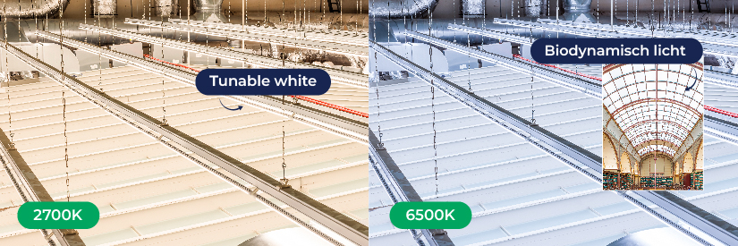 Tunable White verlichting