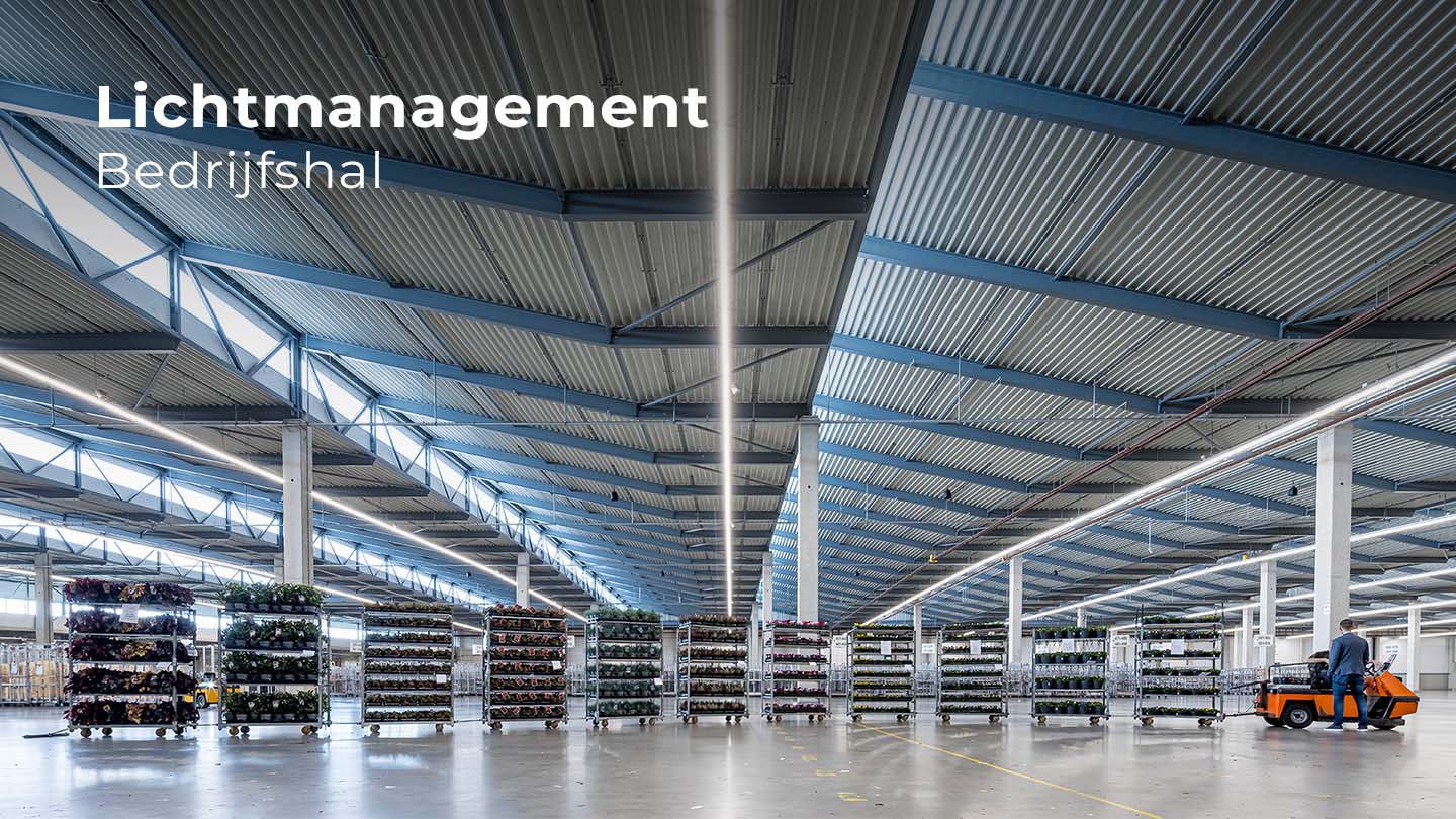 Lichtmanagement bedrijfshal